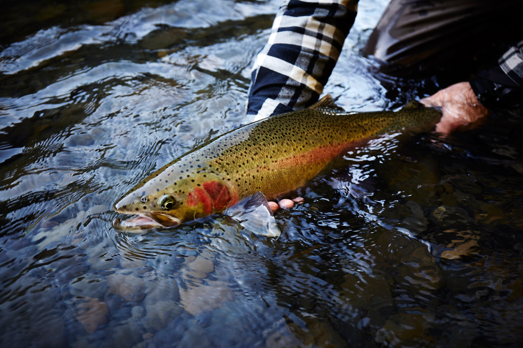 150301_WashingtonFlyFishing_0760