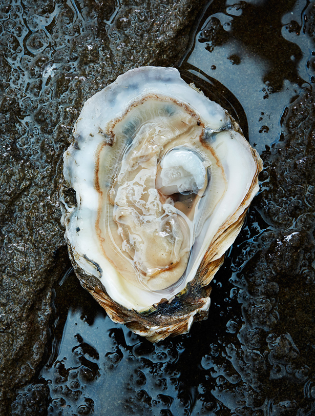 150427_WholeFoods_Oysters_758-1