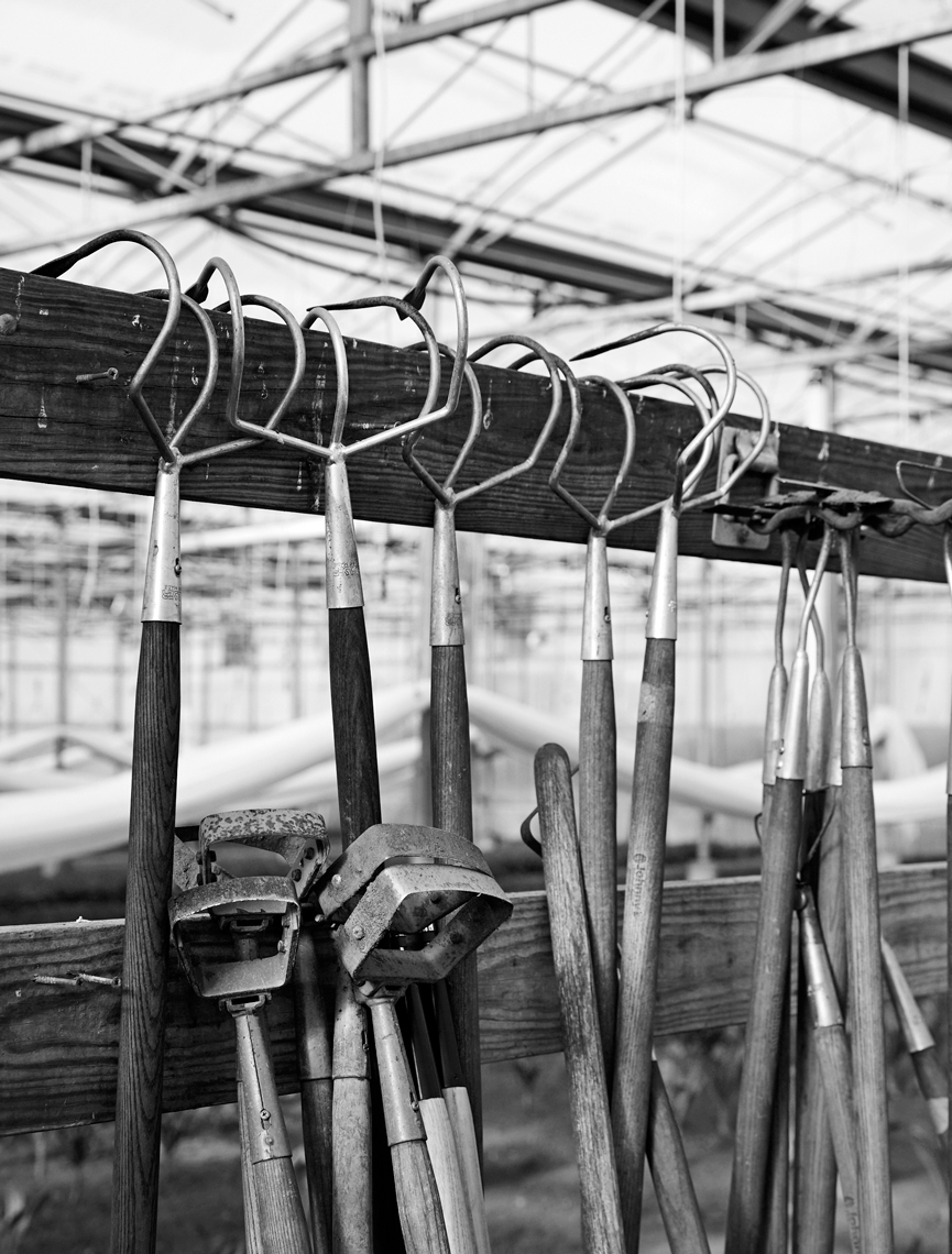 190110_MensJournal_StoneBarns_0104web